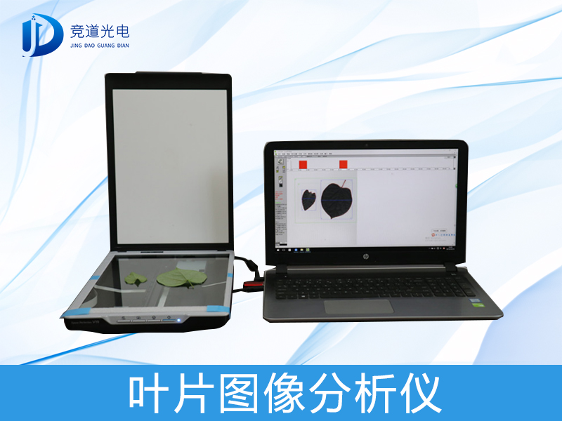 叶片图象阐发 叶片图象阐发