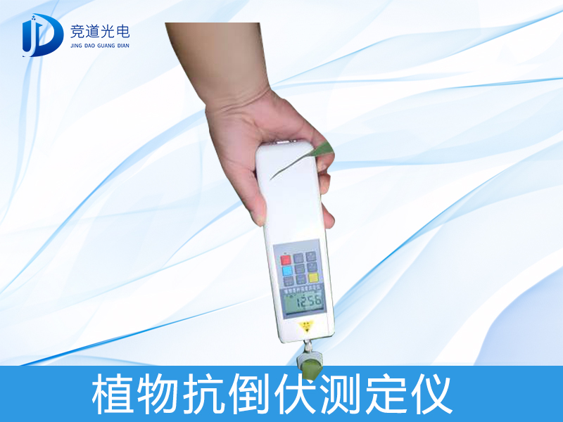 动物茎秆 动物茎秆